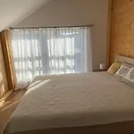 U Plechoveho Janosika Lägenhet *