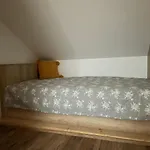 Lägenhet U Plechoveho Janosika