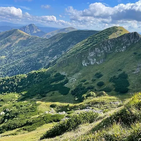 Apartmán U Plechového Jánošíka *