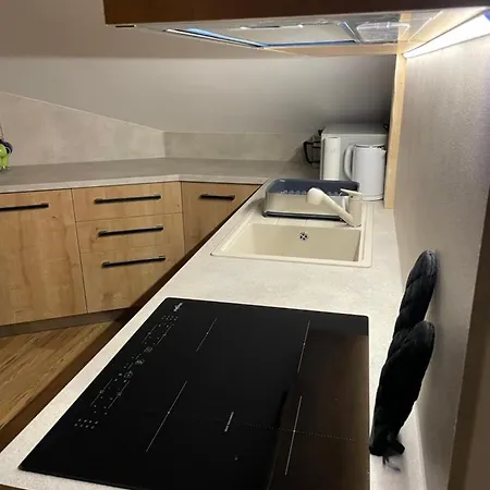 U Plechového Jánošíka