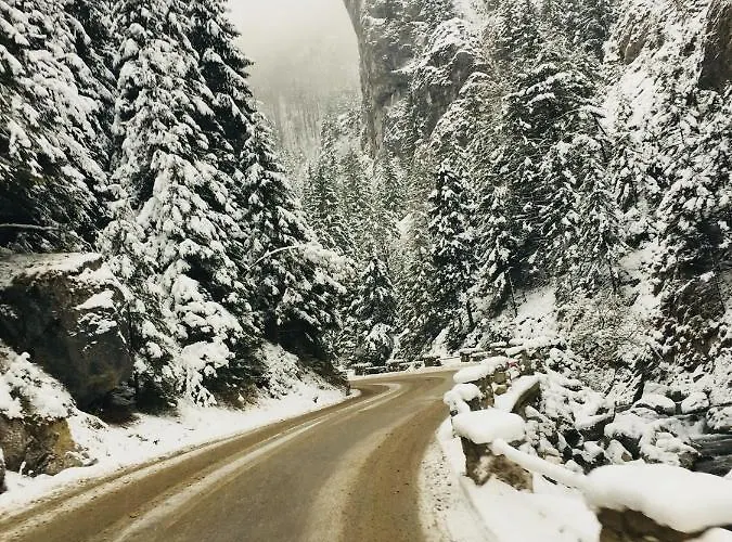 شقة U Plechoveho Janosika Terchová