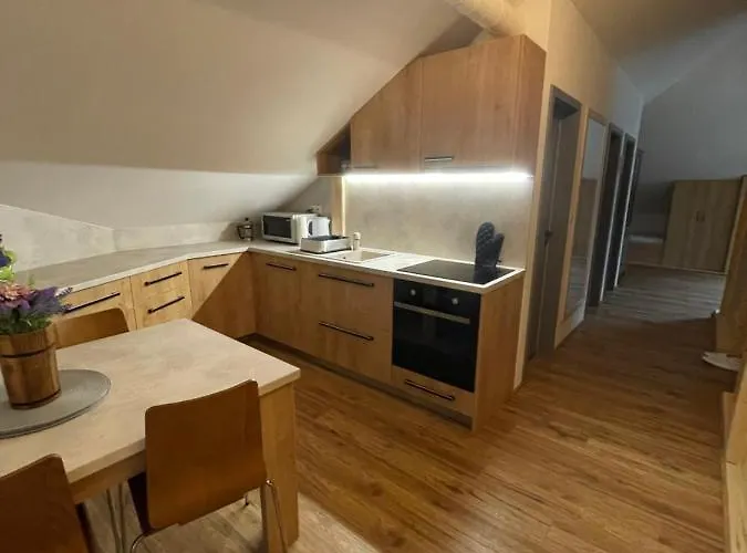 U Plechoveho Janosika