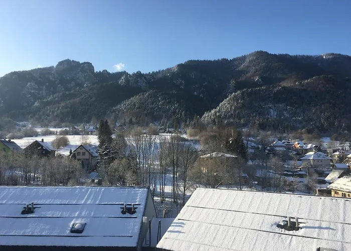 U Plechoveho Janosika