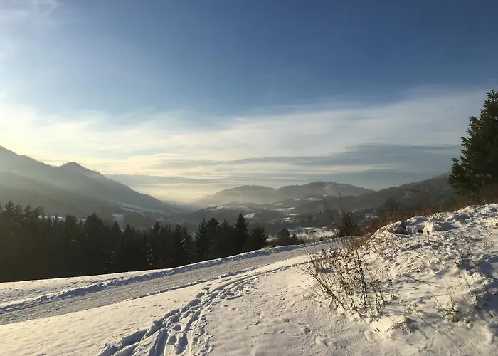 U Plechoveho Janosika *