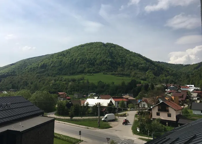 U Plechoveho Janosika *