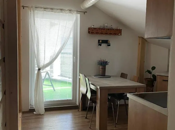 아파트 U Plechoveho Janosika *