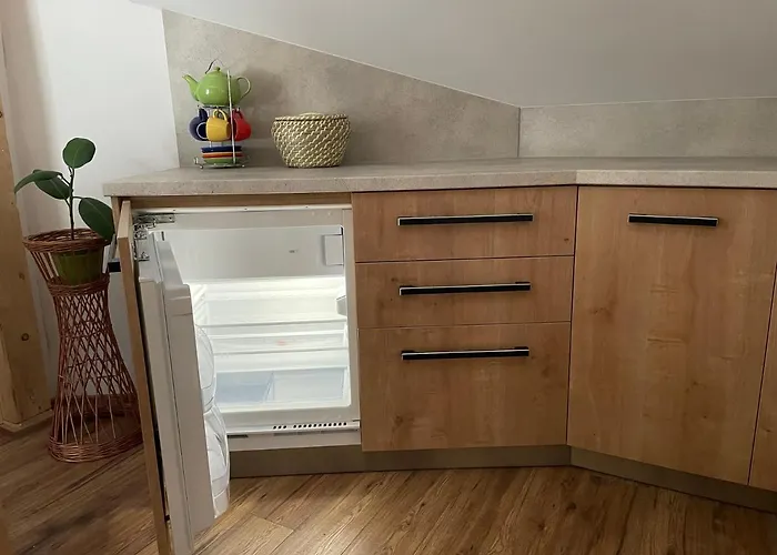 아파트 U Plechoveho Janosika *